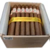 Hoyo De Monterrey Doble Corona