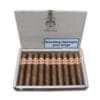 Punch Short de Punch Cigar