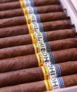 Buy Cohiba Lanceros 25 online