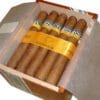 Buy Cohiba Siglo II online