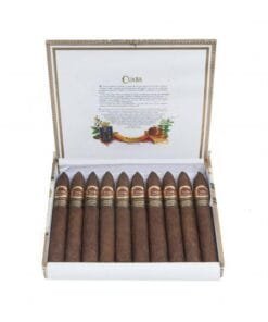 Buy Cuaba Pirámides Limited Edition 2008